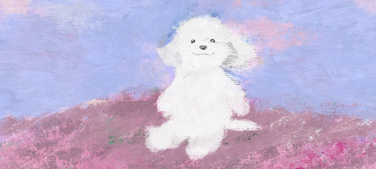 coechan artwork